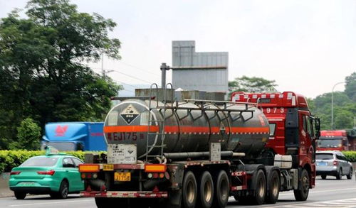 网购假证押运危化品，女子冒险上路终被重罚